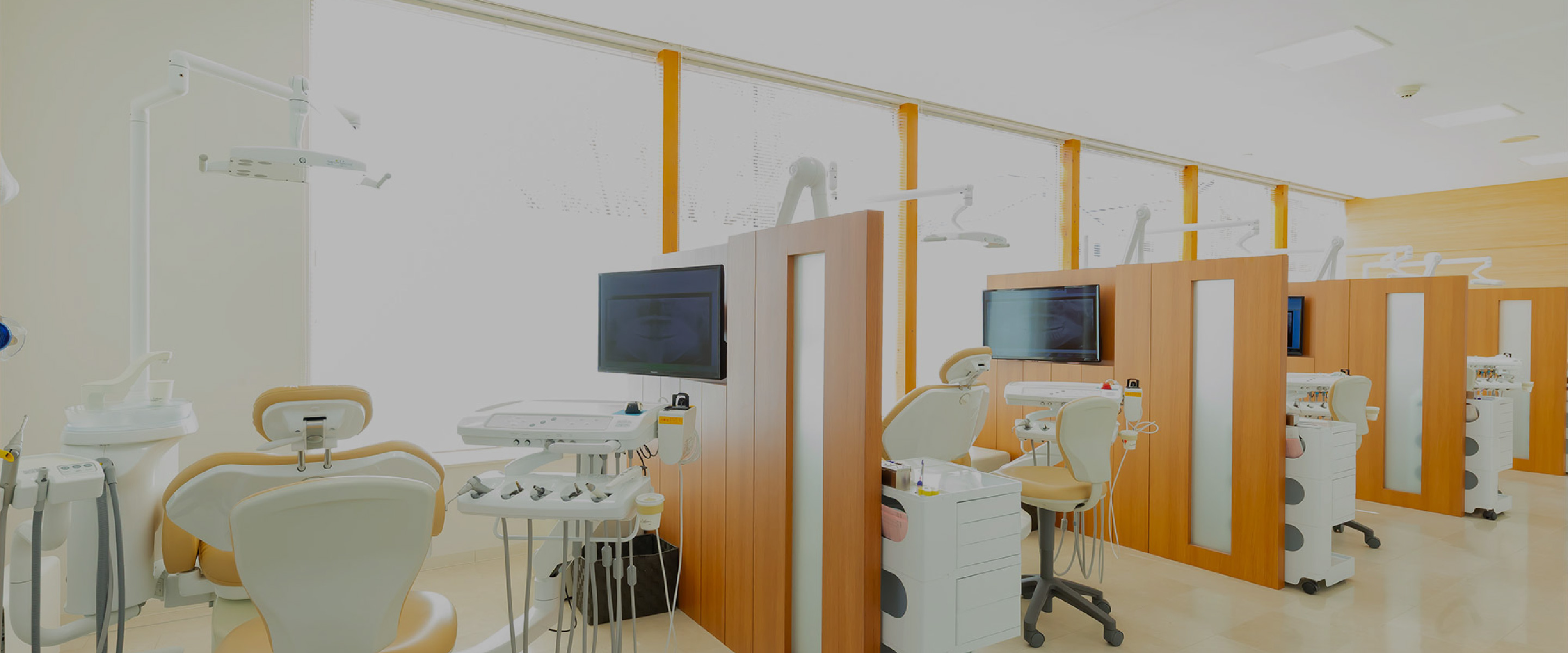 Treatment 診療案内